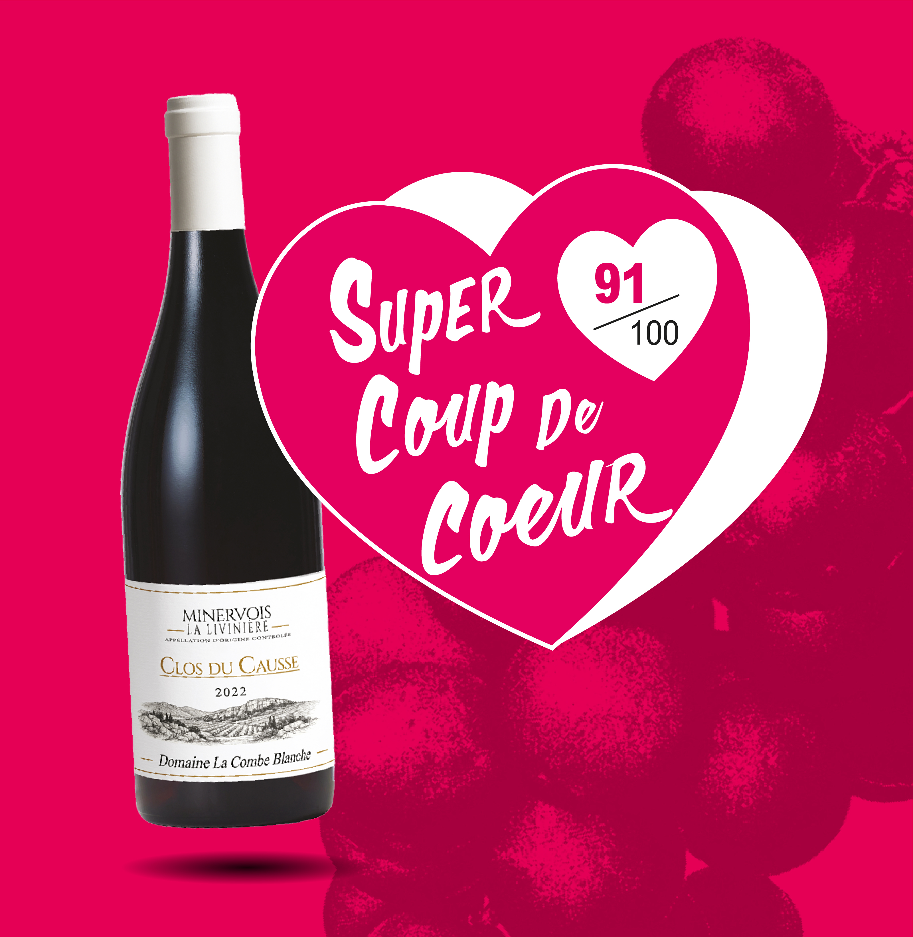 AOP(1) Vin Rouge Minervois La Livinière Clos du Causse