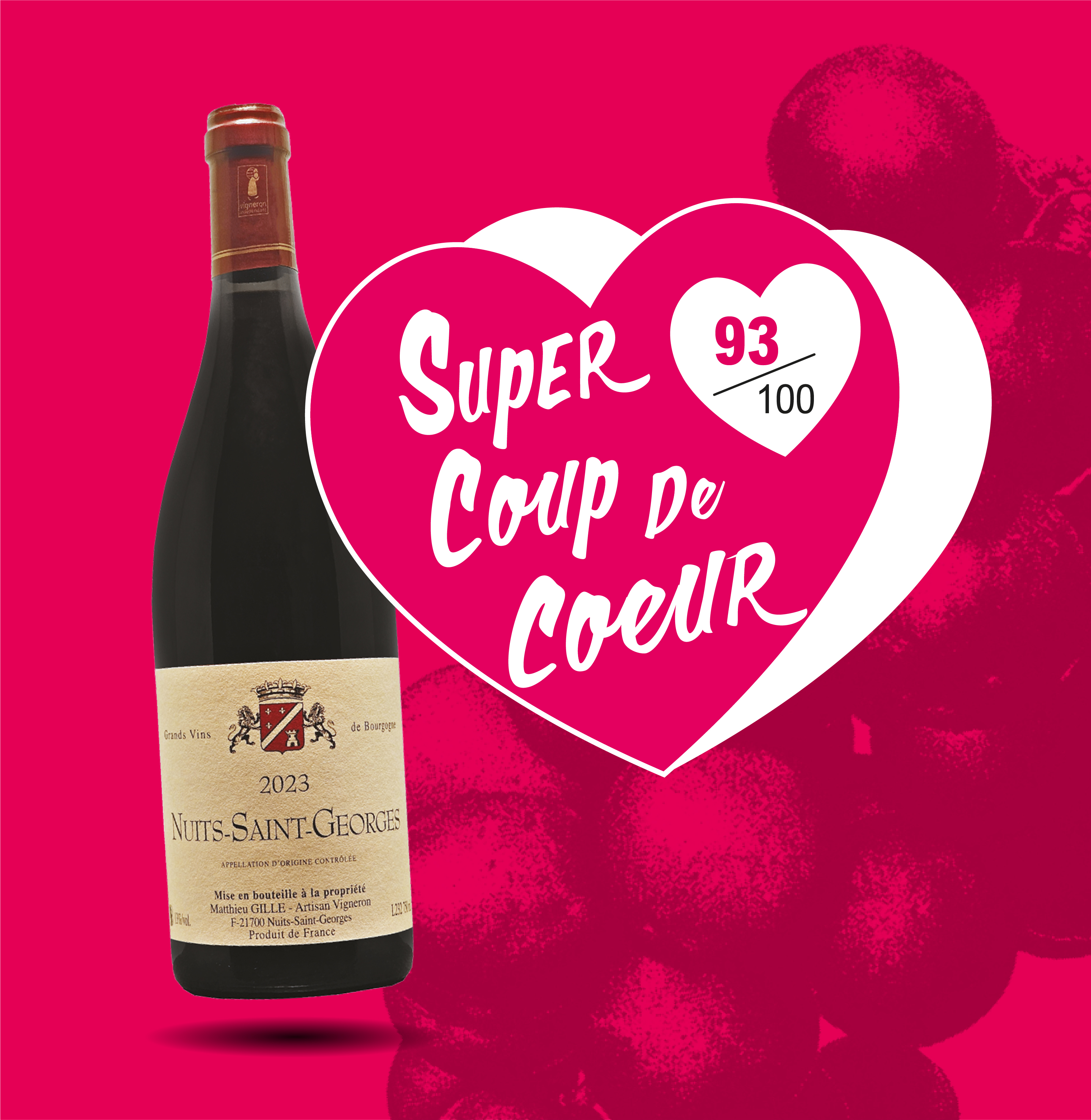 AOP(1) Vin Rouge Nuits-Saint-Georges Matthieu Gille