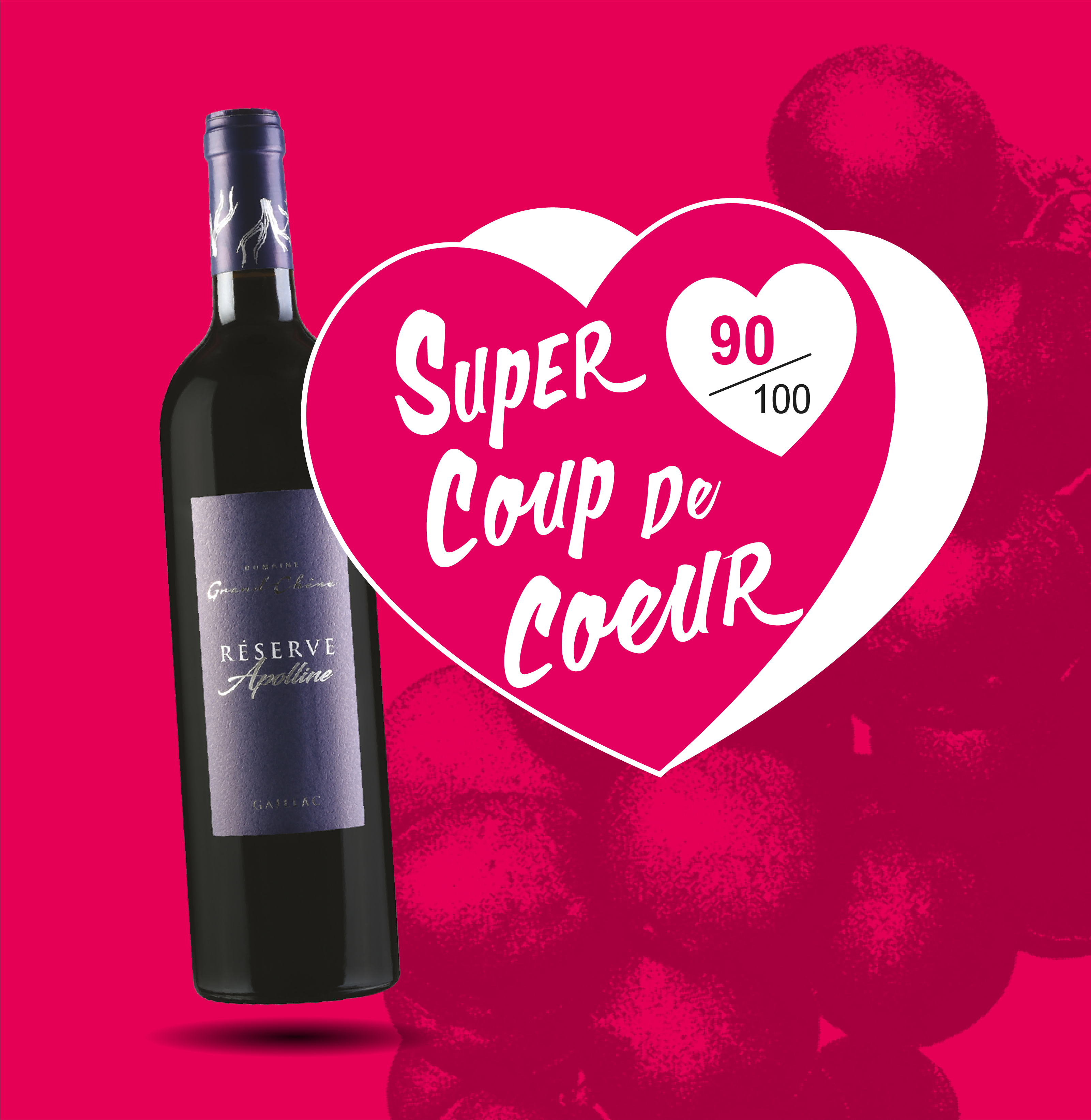 AOP(1) Vin Rouge Gaillac Domaine Grand Chêne Réserve Apolline